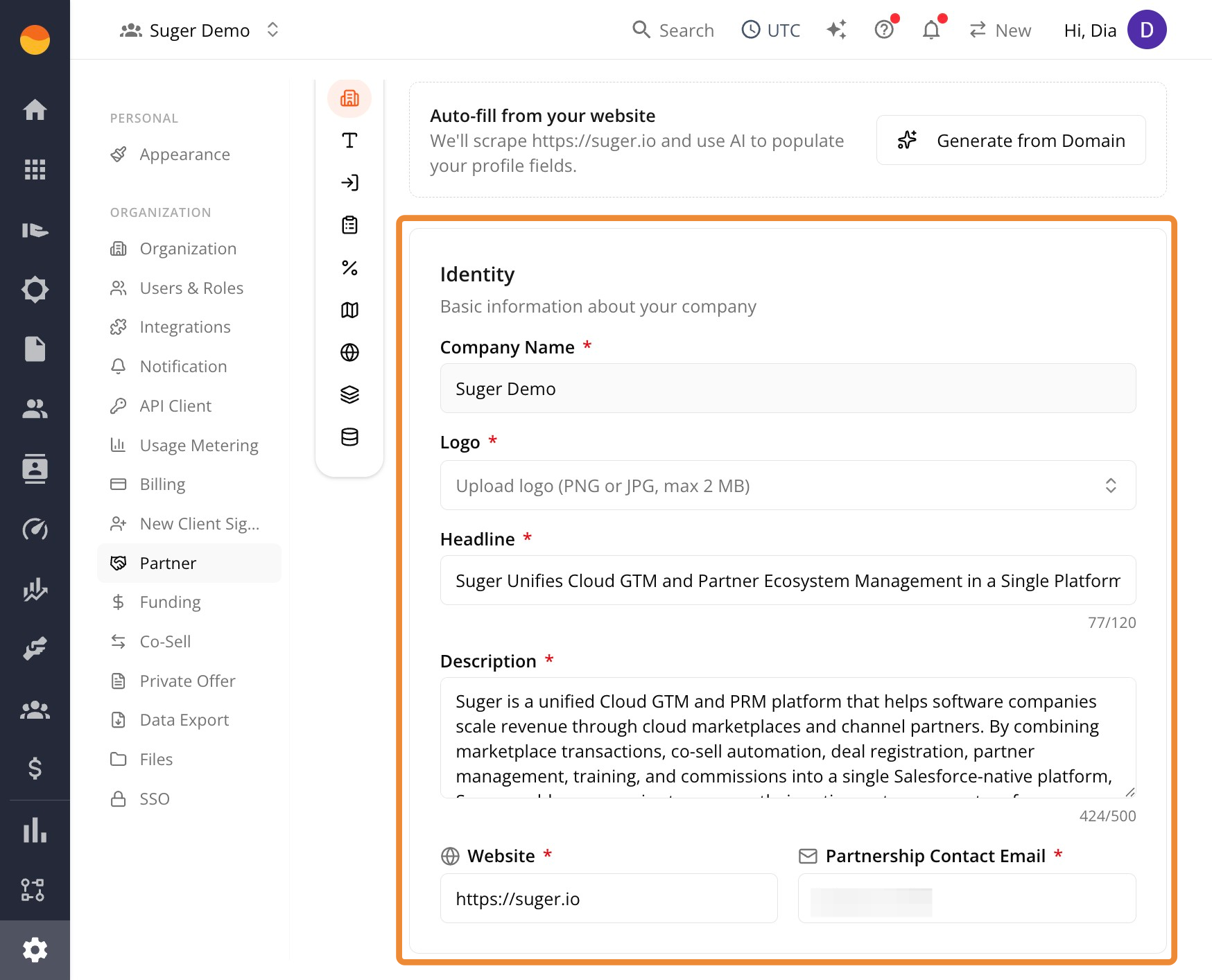 Identity section fields including company name, logo, headline, description, website, and contact email