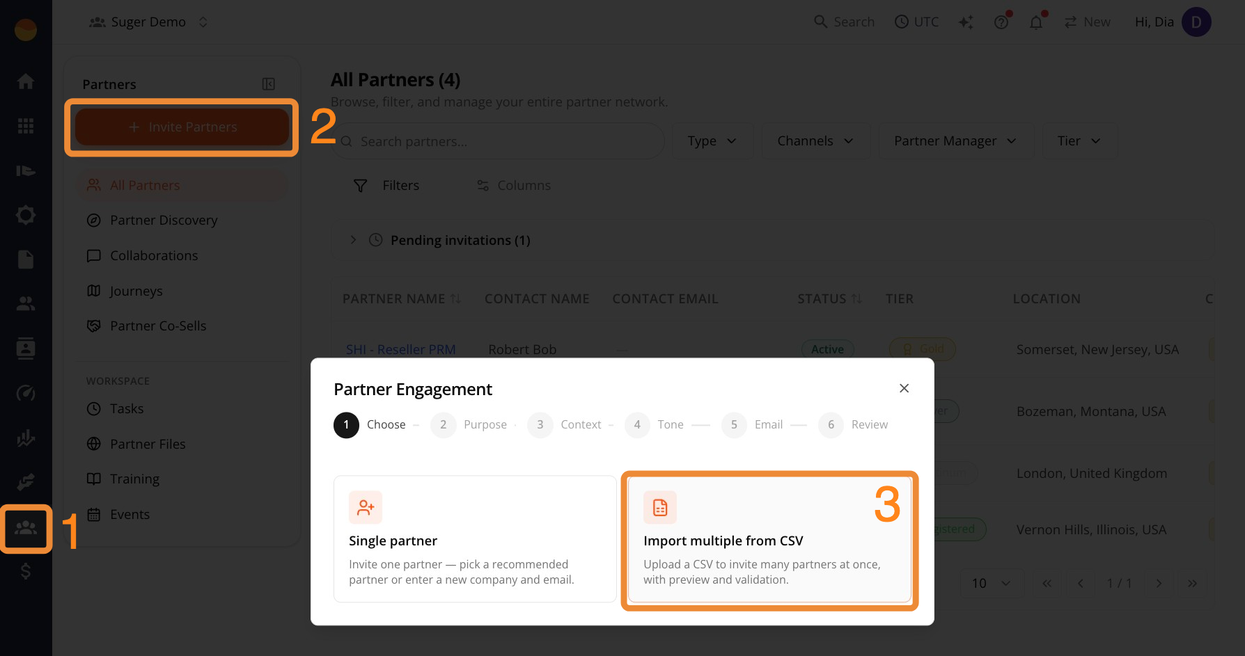 Invite Partners menu with the Import multiple from CSV option